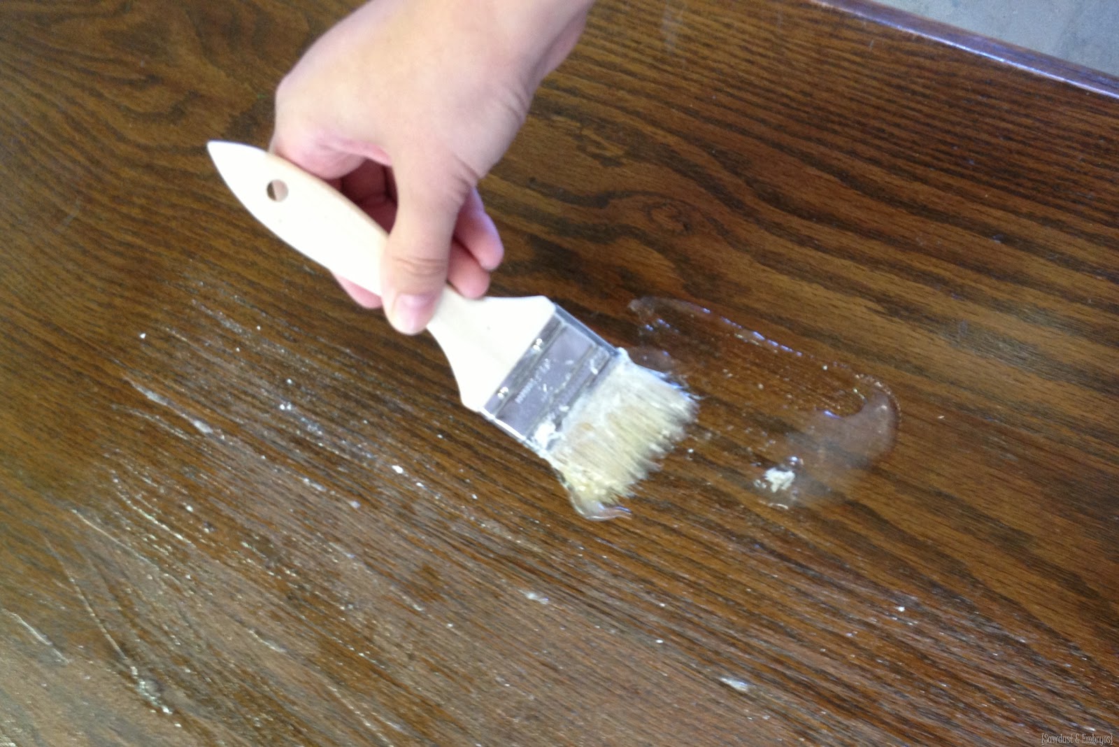 [Stripper-Sawdust--Embryos5.jpg]