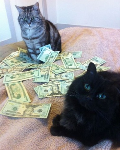 [rich-wealthy-cats-4%255B2%255D.jpg]