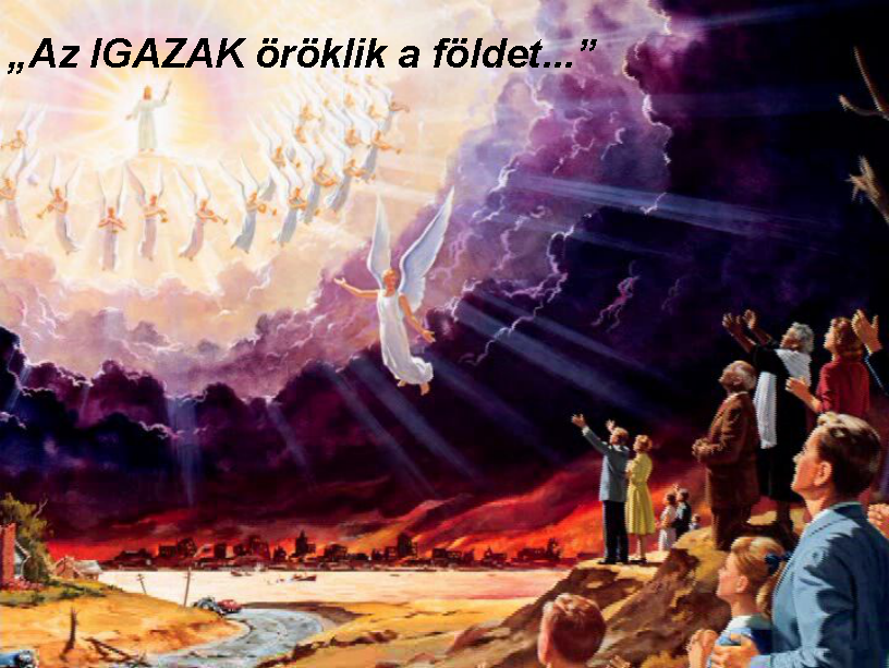 [image53.png]