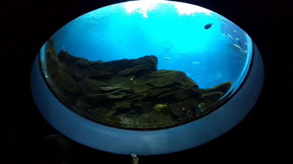 [2012-07-16_13-00-57_637%255B3%255D.jpg]