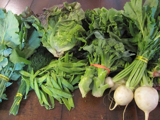 My full share for the week - Various greens, turnips, broccoli, peas, and dill My full share for the week - Various greens, turnips, broccoli, peas, and dill