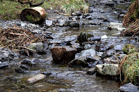 Stream