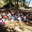 IMG_20131018_130709.jpg