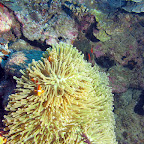 IMG_2424.JPG