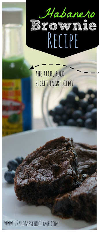 Habanero Brownie Recipe: hot sauce is the rich, bold secret ingredient! Habanero Brownie Recipe: hot sauce is the rich, bold secret ingredient! #SauceOn #CollectiveBias #shop