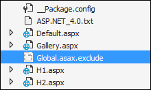 Global.asax Excluded