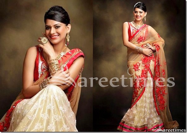 Poonam_Embroidery_Half_Saree