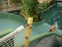 P8290080.JPG