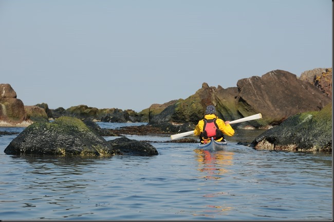 Baffin SEN_1350