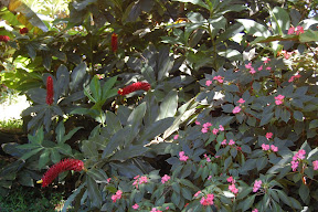 DSC_0034.JPG
