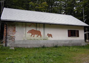 Wellcome in the land of the Brown
 bear (Ursus ursus)