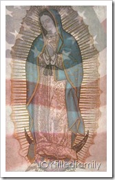 America for Mary, Our Blessed Mother logo