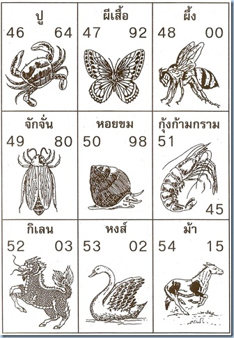สัตว์ 46-54