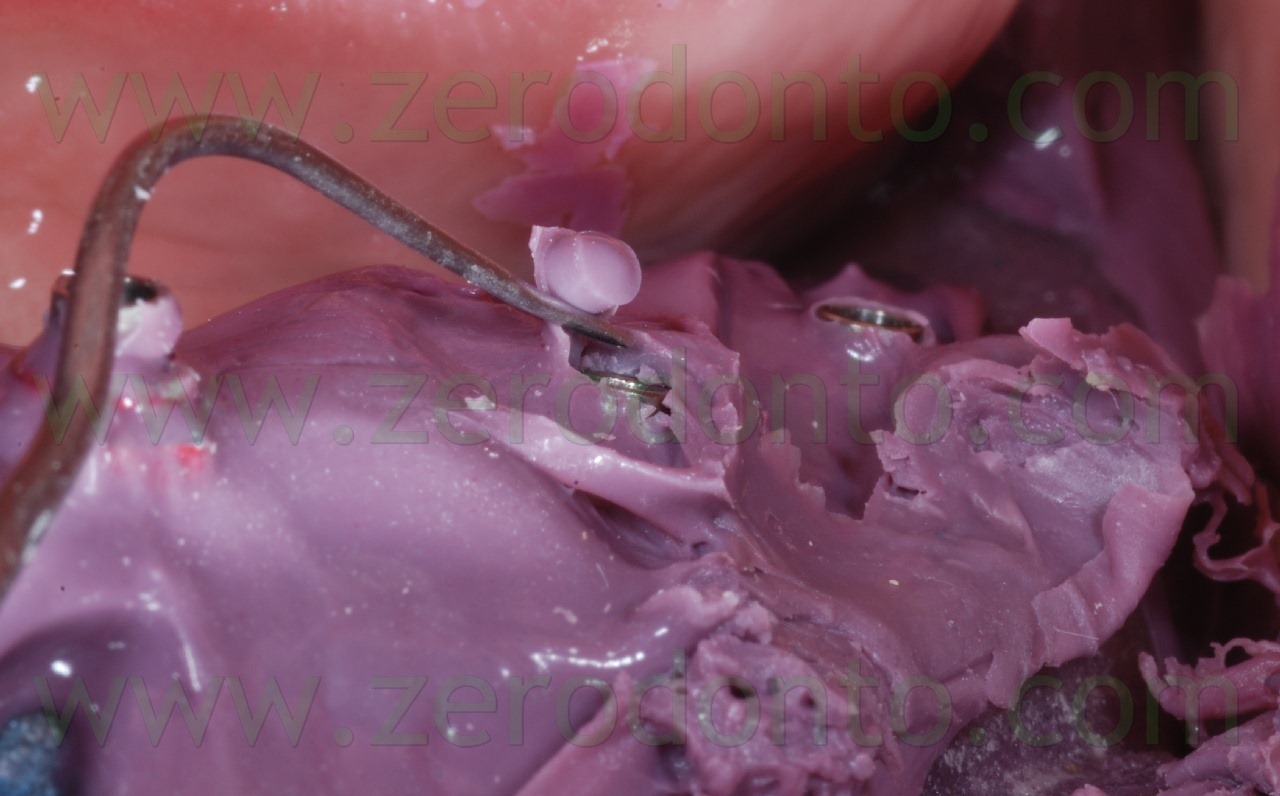 [DSC_64222.jpg]
