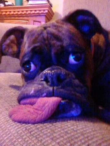 [viral-picdump-pics-e55d4b%255B2%255D.jpg]