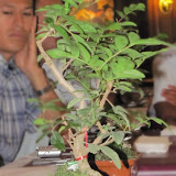 IMG_2694.jpg IMG_2694.jpg