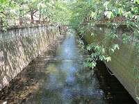 Canal, Ikejiri-Ohashi. There is another pretty canal just like this in Nakameguro