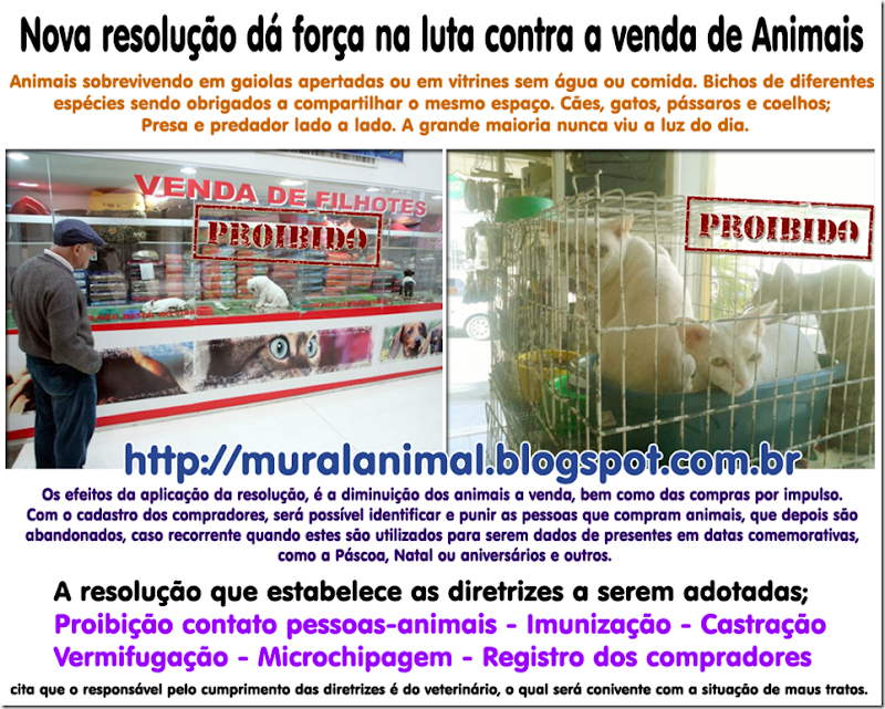 comercio_animais2