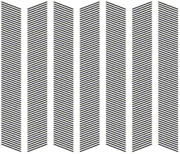 ilusão Optica (3).jpg