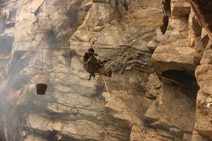 honey-hunters-nepal-23