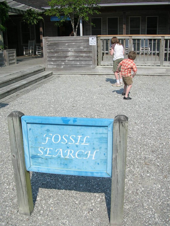 [DSCN0466%255B4%255D.jpg]
