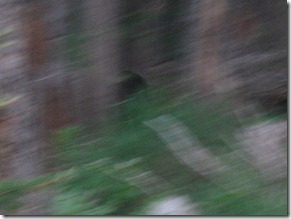 IMG_6112 IMG_6112
