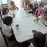 fotos diversas 193.jpg