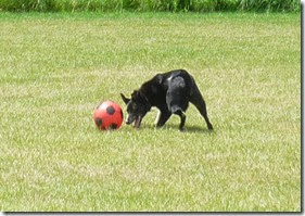 11 footy at hackney marsh