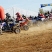 Capriolo_0529.jpg