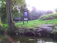 DSC00514.JPG Photo