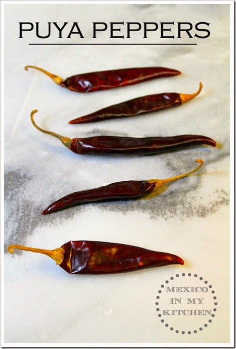 spicy hot salsa recipe spicy hot salsa recipe