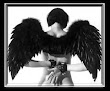 Black Wings Of Angel