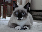 Groucho Marx