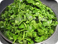 IMG_4407 IMG_4407