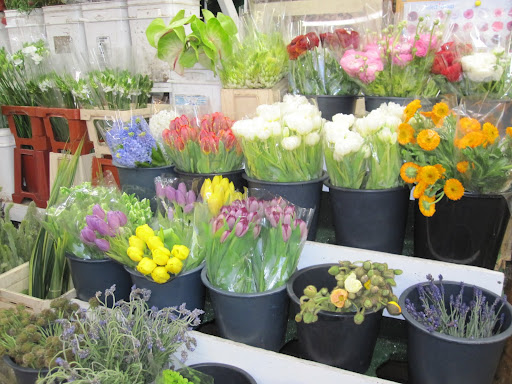 The tulip selection was gorgeous for this time of year.