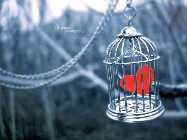 ...Diyelim ki; Bazı hakikatler ağır geldi bize…” Tarık Tufan