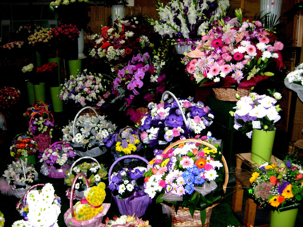 [DSCN04703.jpg]