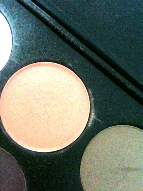 [fotd%2520tuesday%2520pale%2520peach%2520shadow%255B7%255D.jpg]