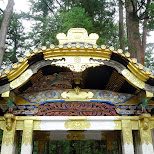toshogu shrine in Nikko, Japan by Matt van Vuuren in Nikko, Totigi (Tochigi) , Japan