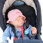 IMG_6773.JPG