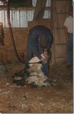 IMG_4606 IMG_4606