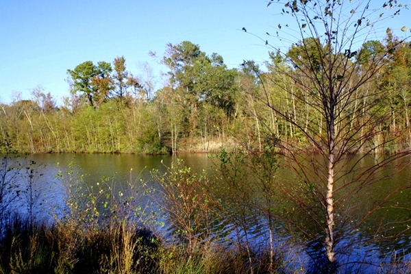 Pumpkin Spice Lattes, Friends, and Walking Trails 098