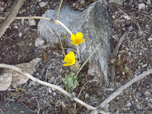 [DSCF11172.jpg]
