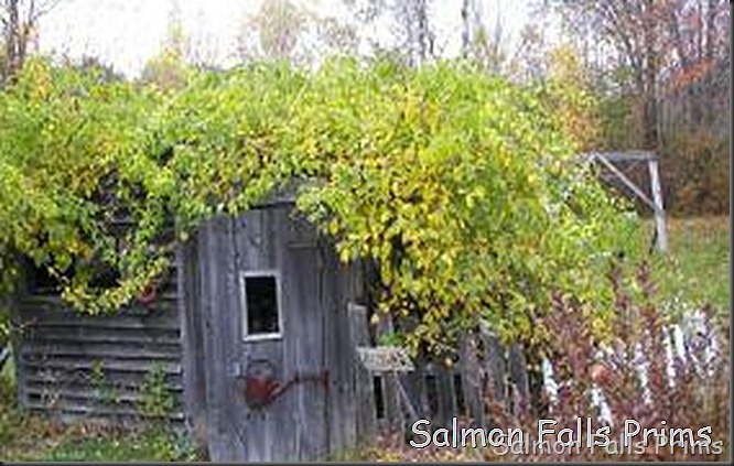 [blog-fall%255B2%255D.jpg]