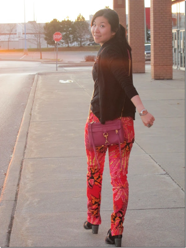 IMG_0540 IMG_0540