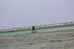 sh120101_003_resize.JPG