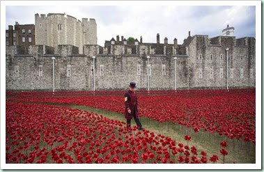 tower of londn poppies