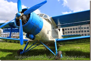 IMG_5181m IMG_5181m