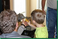 MJ feeding Kimodo