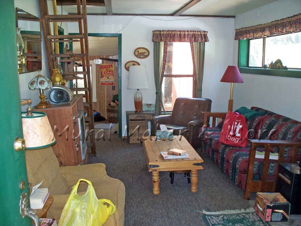 [cabin-living-room-2%255B4%255D.jpg]